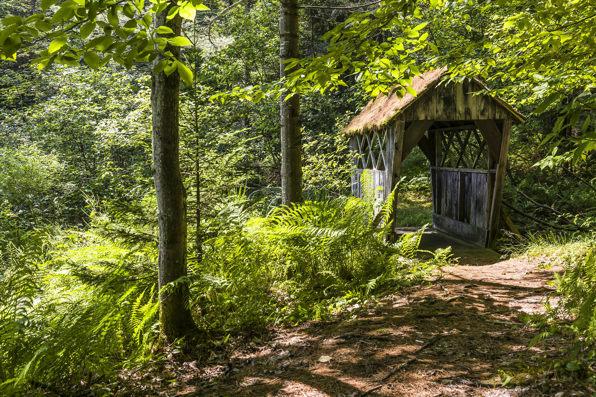Bluebird Cady Hill Lodge Stowe Dış mekan fotoğraf